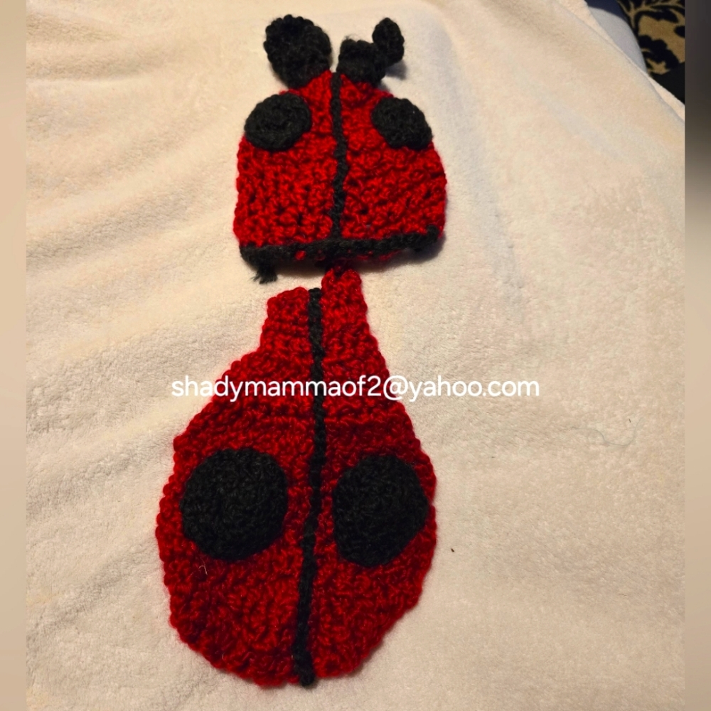 Handmade Ladybug Baby Costume Set - Red and Black